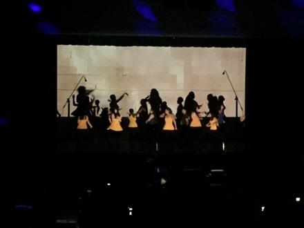 shadows